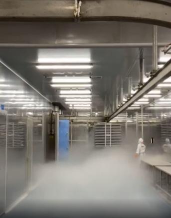 探廠國內(nèi)寵物食品凍干廠 國產(chǎn)凍干品質(zhì)如何，L-羥脯氨酸生產(chǎn)的關(guān)鍵作用